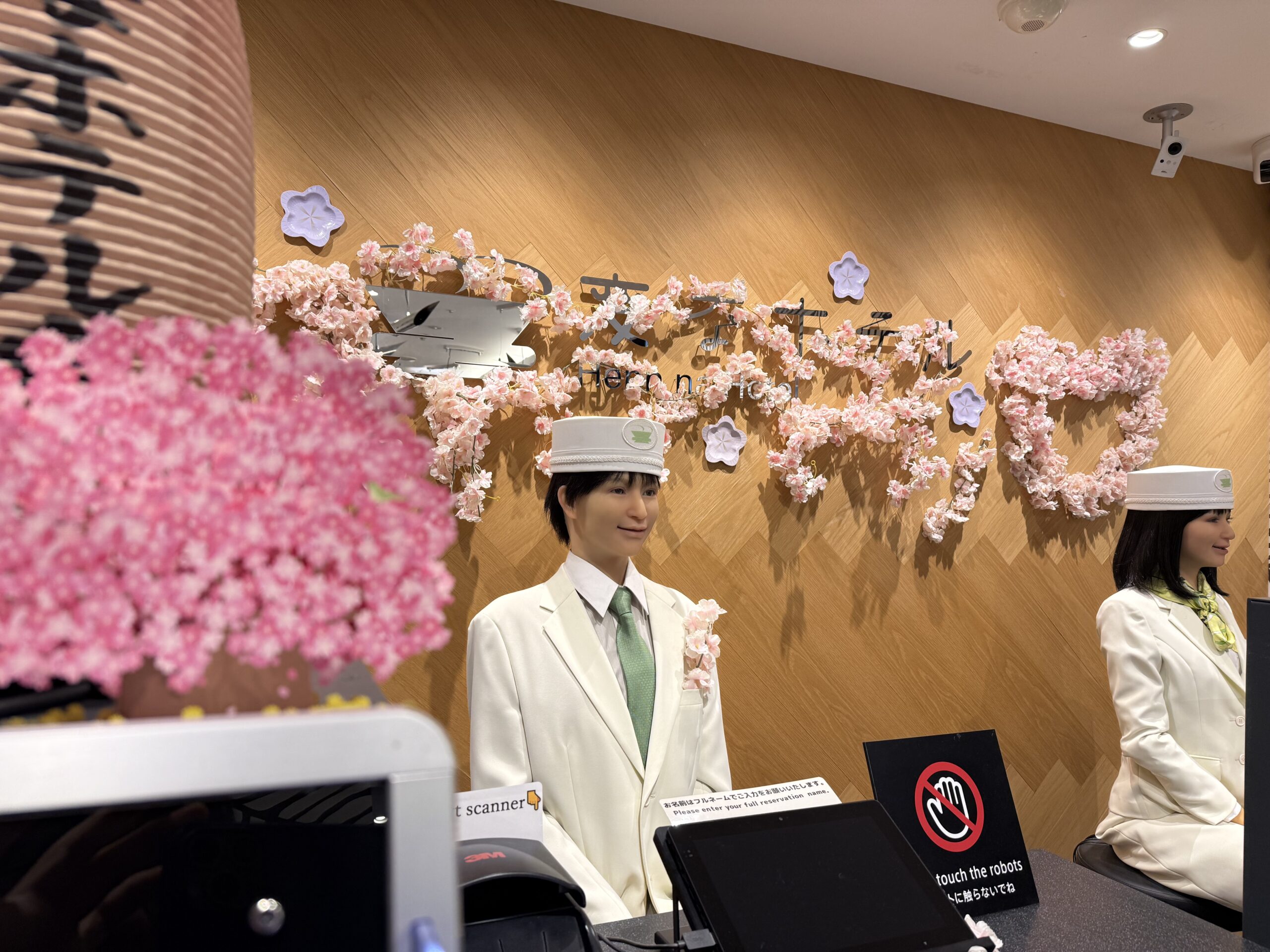 一足早く満開に🌸