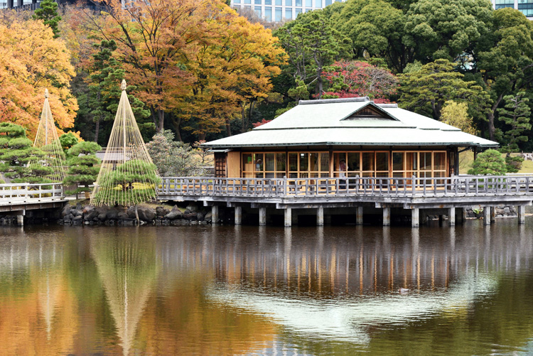 浜離宮恩賜庭園