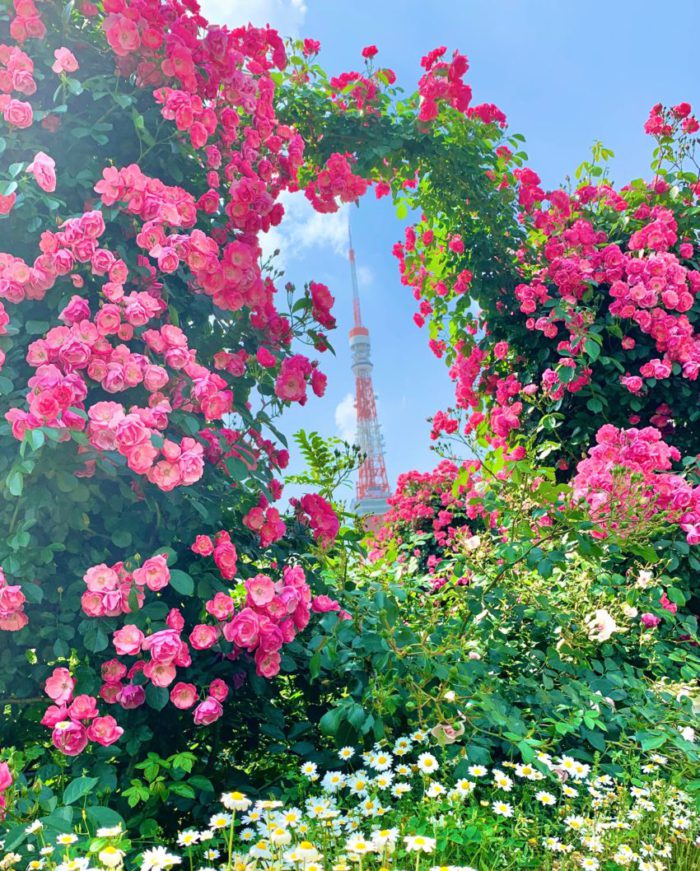 【ホテル周辺情報㉘】