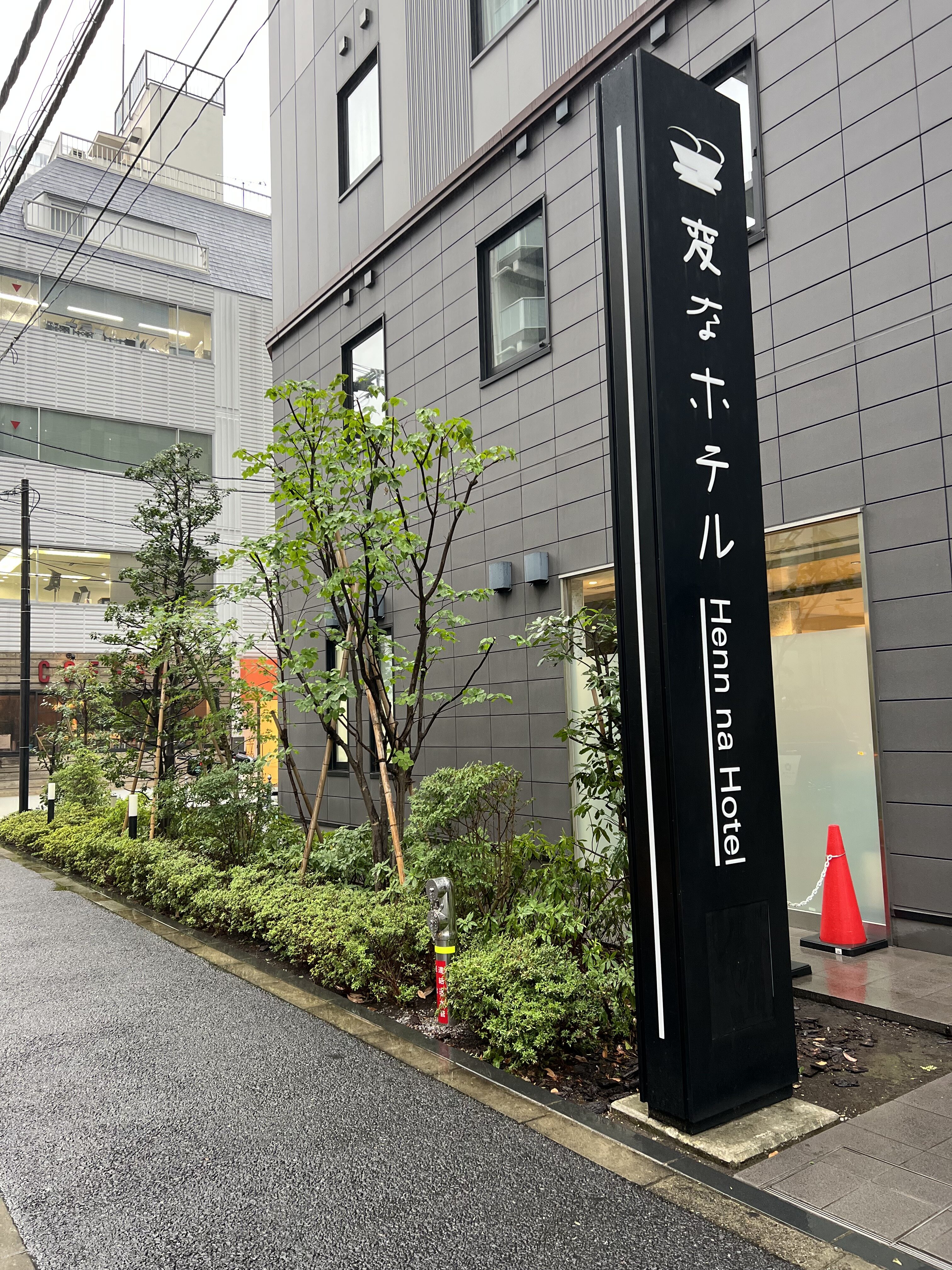 ～植栽の剪定を行いました～