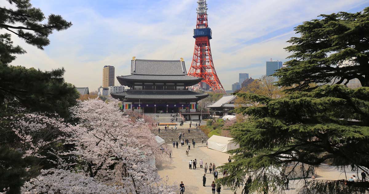 🌸浜松町周辺！お花見おすすめスポット3選🌸