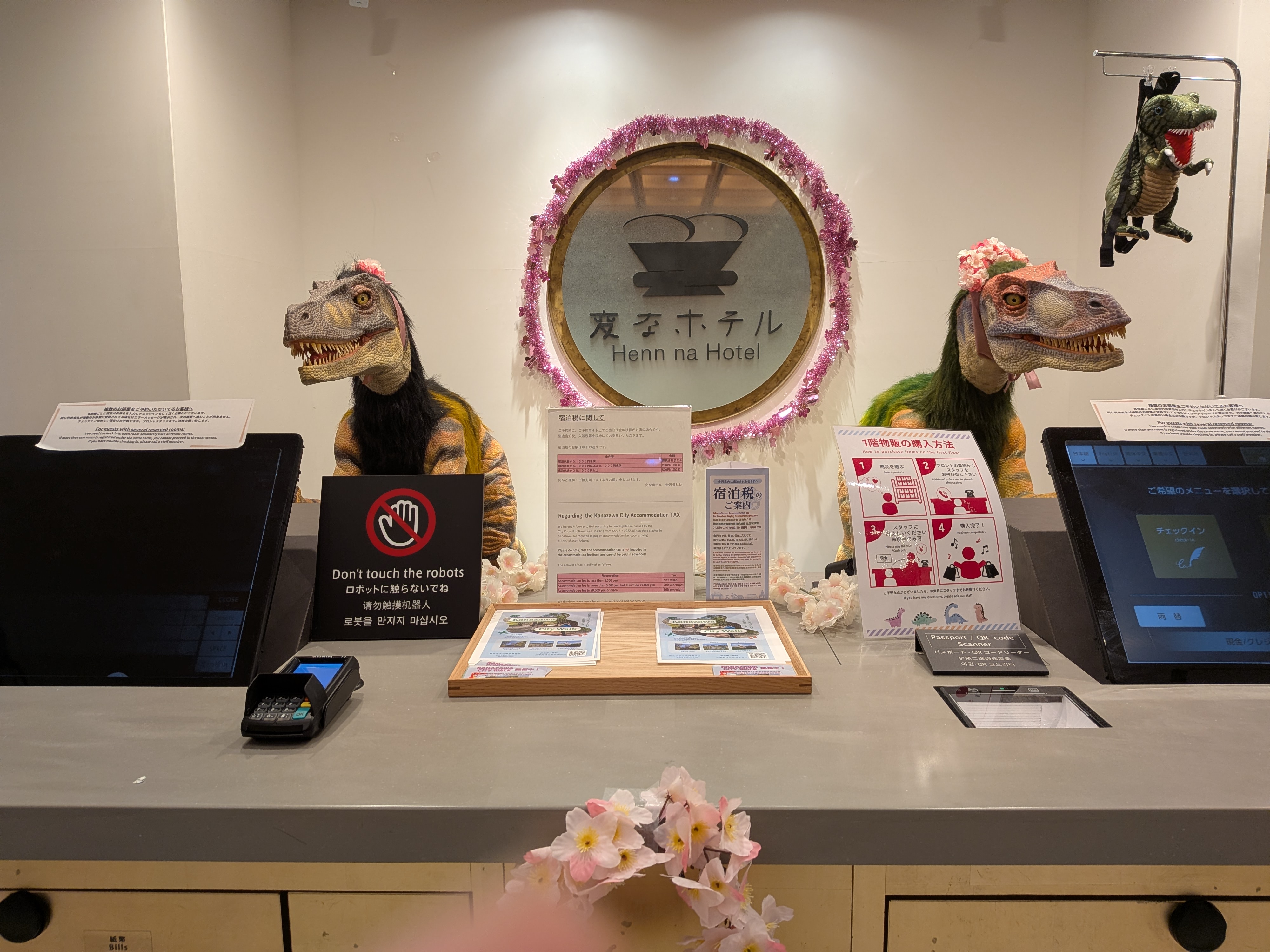 🌸今年も開花の時期がやってきました🌸