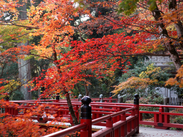 【周辺観光情報】✨那谷寺に紅葉を眺めながら素敵なひと時を✨