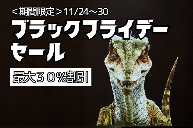 7日間限定！ブラックフライデーセール最大30%OFF！※2023/11終了しました