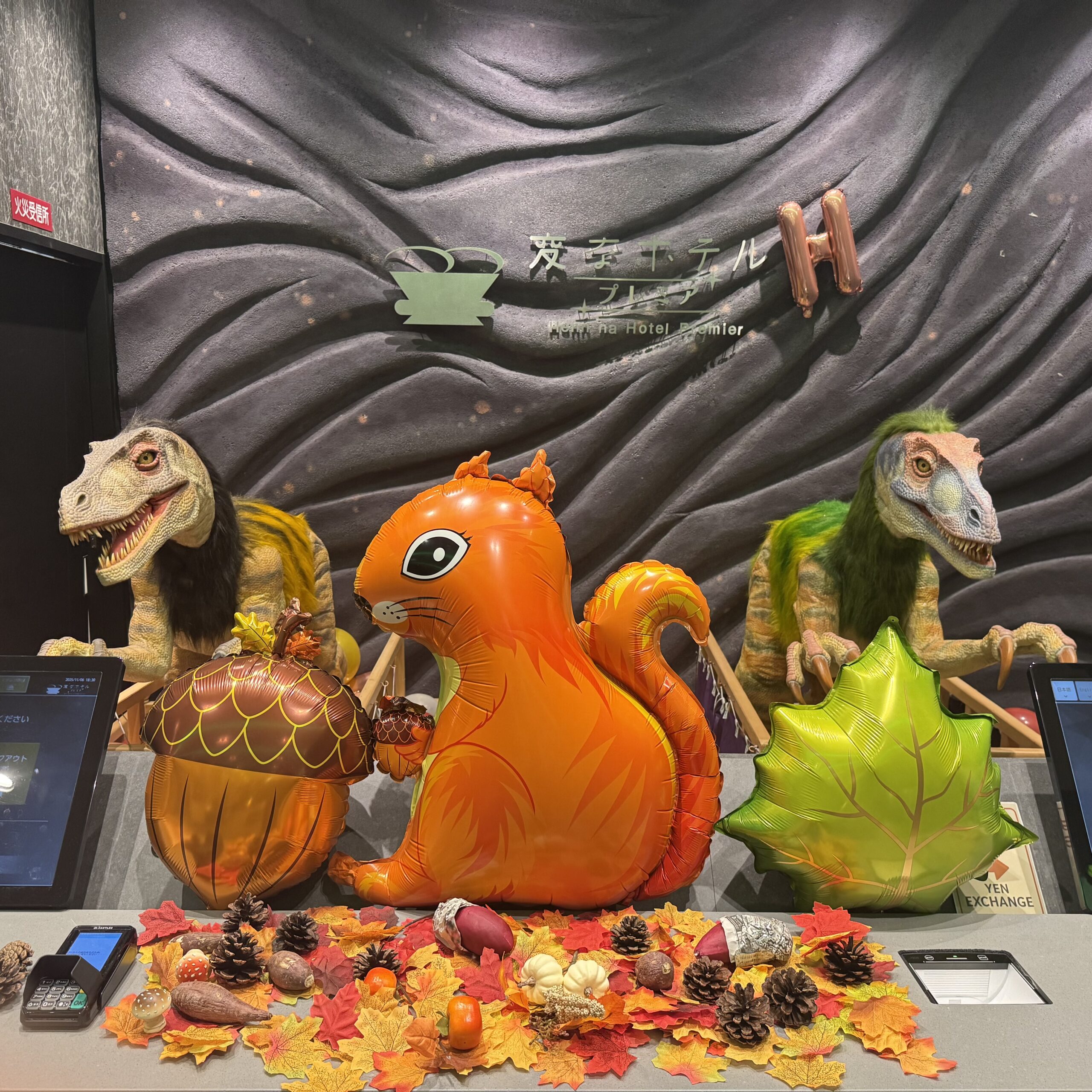 フロント装飾が変わりました！