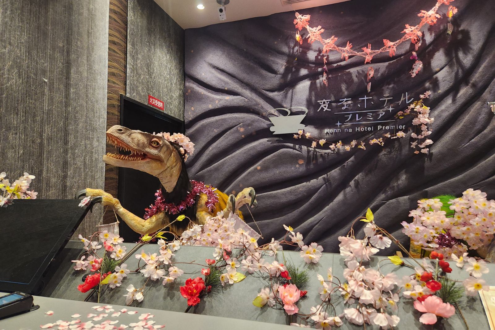 装飾が新しくなりました🌸