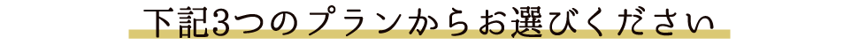 下記３つのプランからお選びください