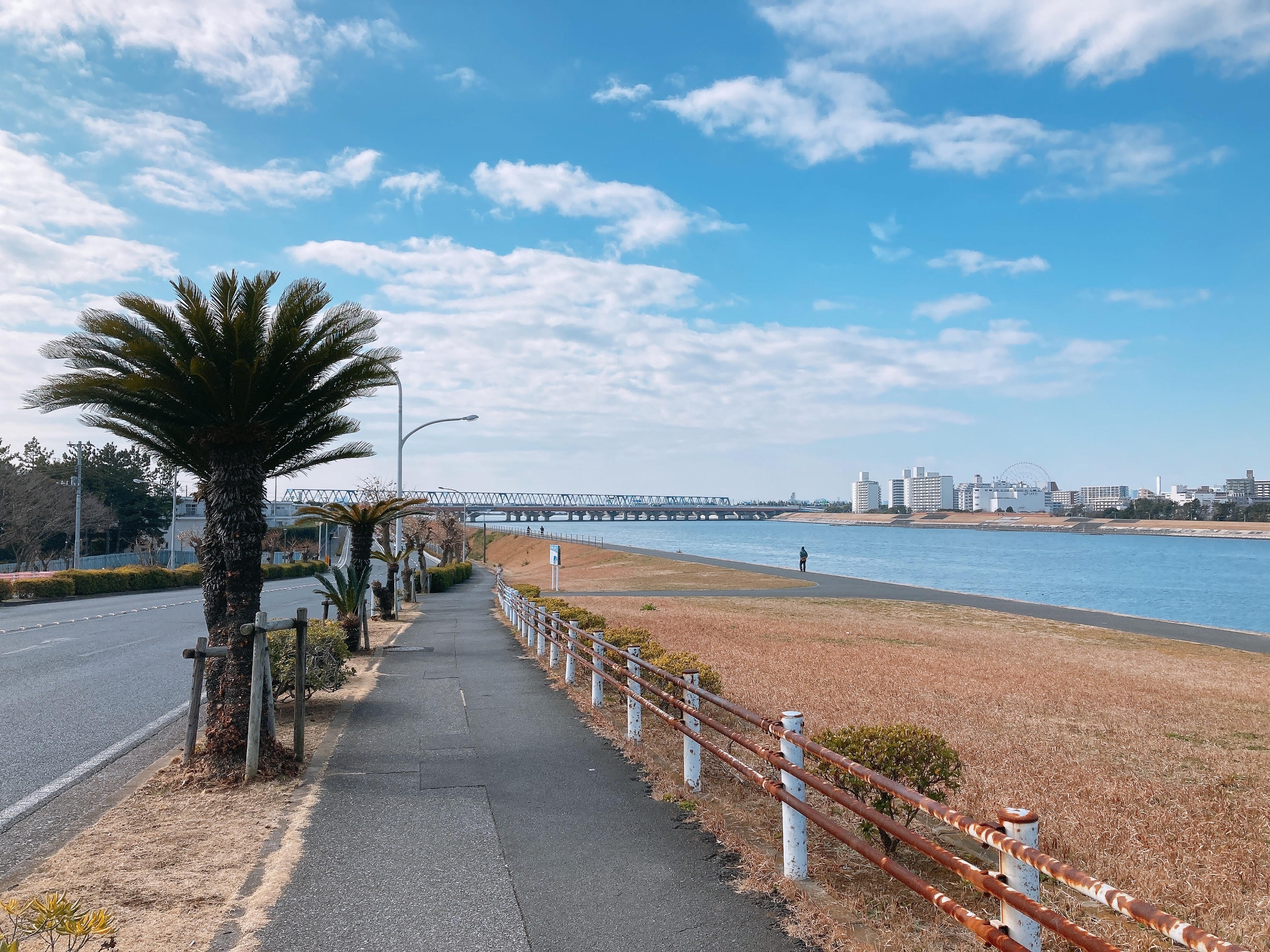 2022年1月の便り ～旧江戸川と美しい青空～