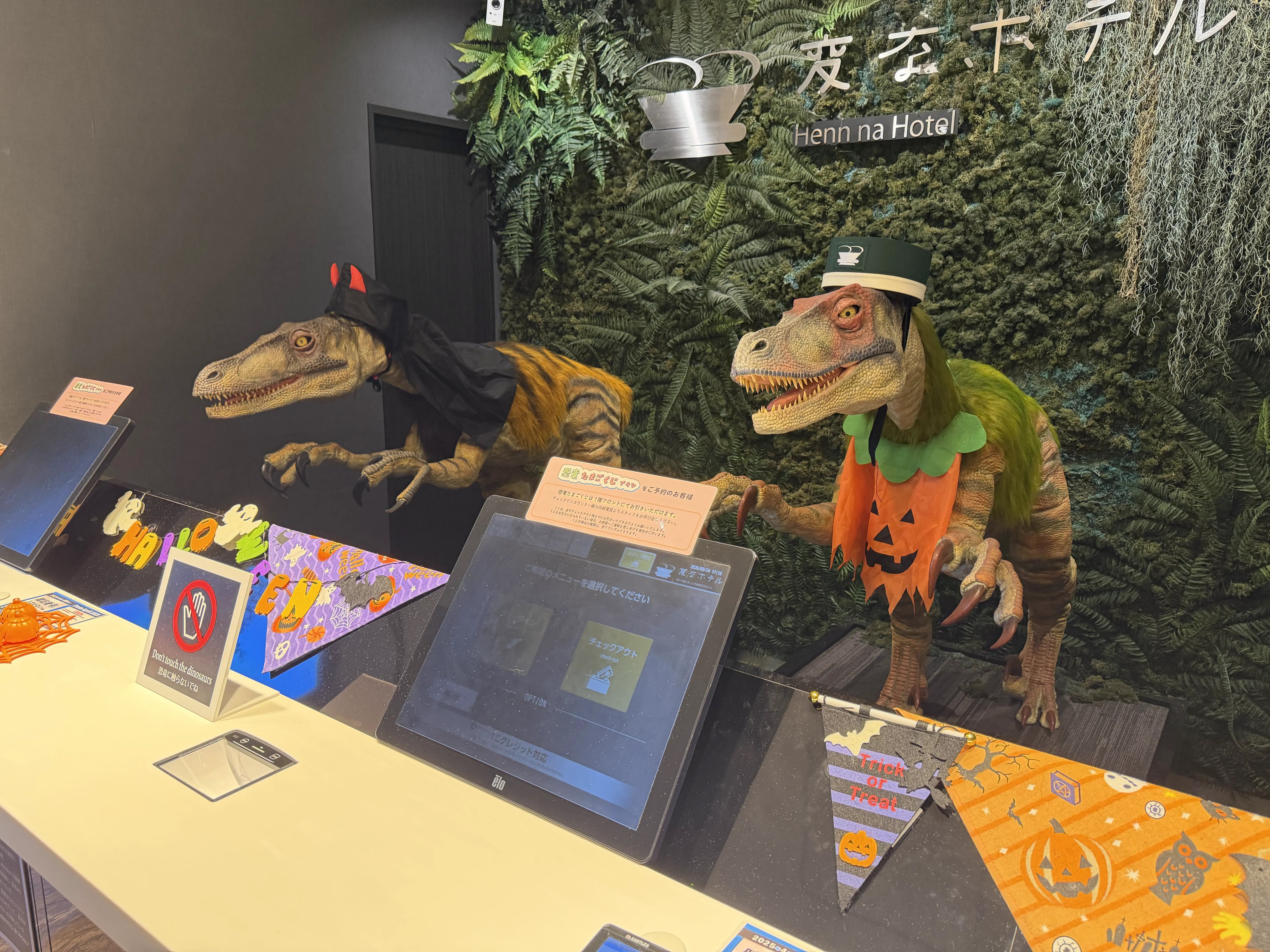 The dinosaurs are dressed up and waiting for you 🎃