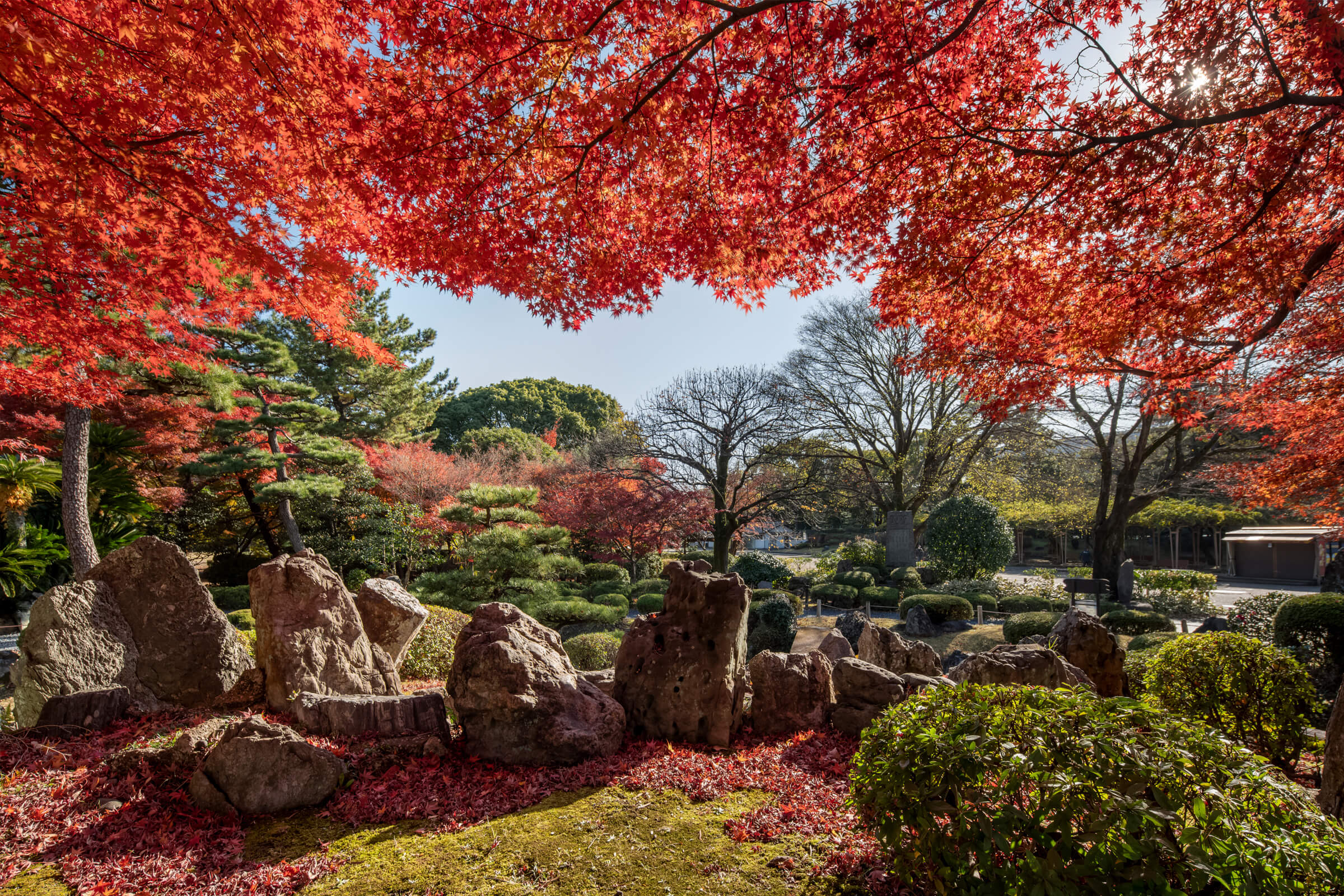 🍁10・１１月秋のイベントのお知らせ🍁