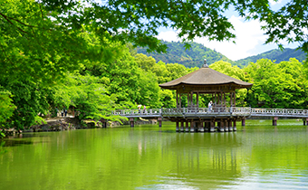 【奈良公園】徒歩約10分