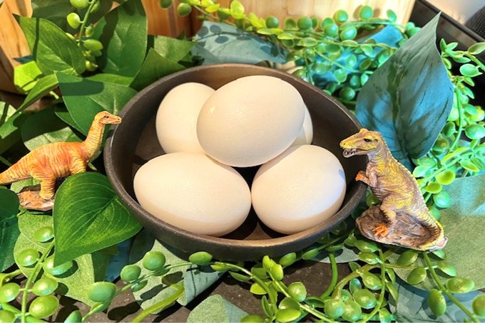 温泉玉子はカレーのトッピングや、卵かけごはんとしてもお楽しみいただけます