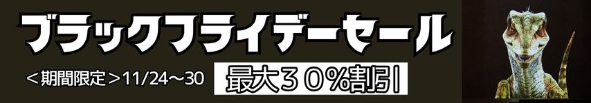 ブラックフライデーセール