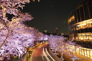 東京ミッドタウン