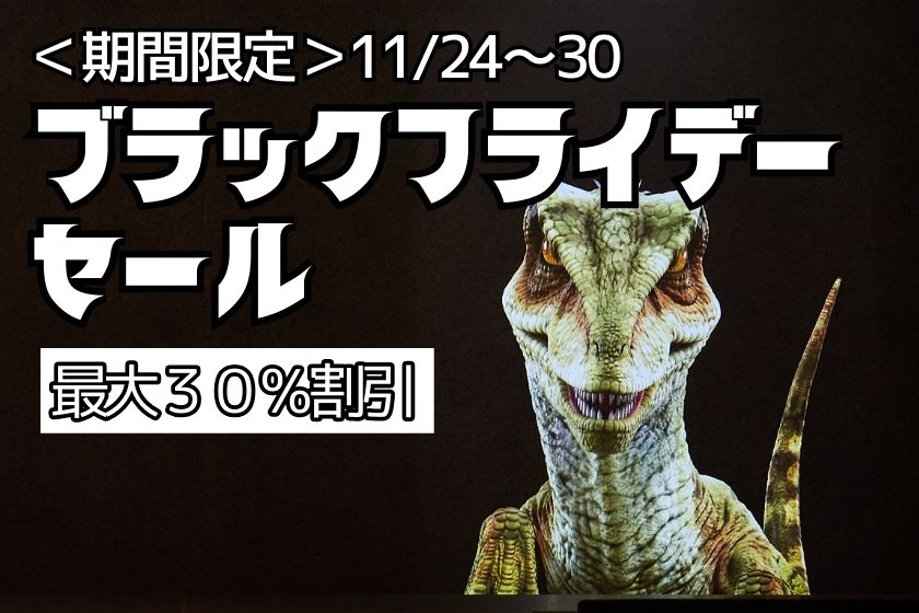 最大30%オフ!<期間限定>ブラックフライデーセール開催