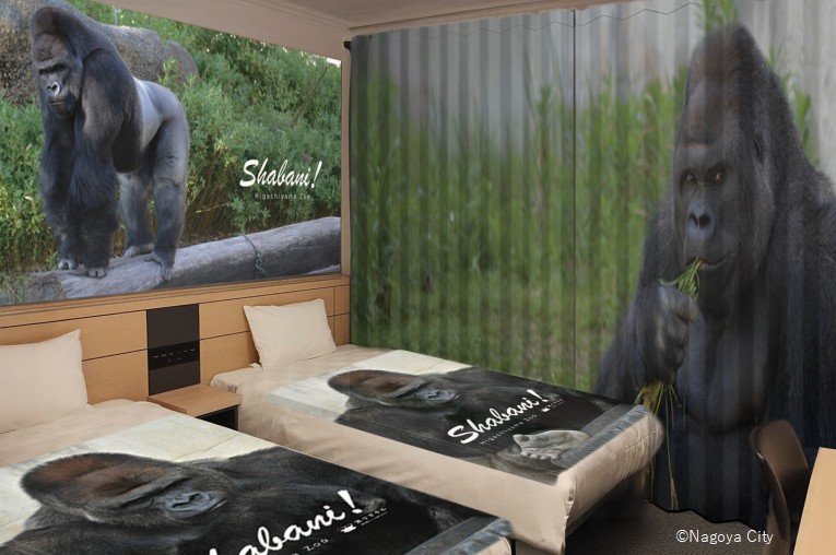 Henn na Hotel "Collaboration Rooms World Record" Guinness World Records™ Certified 54th Collaboration Room Henn na Hotel Premier Nagoya Fushimi Station Front Handsome Gorilla "Shabani Room" from Higashiyama Zoo and Botanical Gardens Released